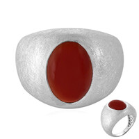 Zilveren ring met een onyx
