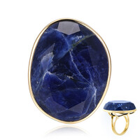 Zilveren ring met een sodaliet