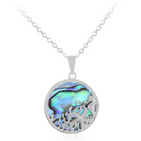 Zilveren halsketting met een Abalone schelp