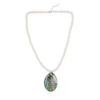 Zilveren halsketting met een Abalone schelp (TPC)