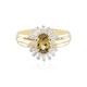Gouden ring met een onverhitte gele tanzaniet (Adela Gold)