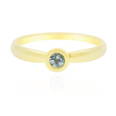 Gouden ring met een Nigeriaanse Paraiba Toermalijn