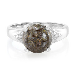 Zilveren ring met een dinosaurus kwarts