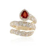 Gouden ring met een Tanzania robijn (de Melo)