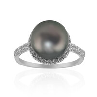 Zilveren ring met een Tahiti parel (TPC)