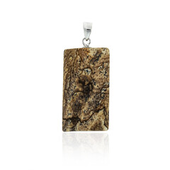 Zilveren hanger met een landschap jaspis