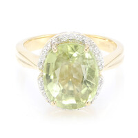 Gouden ring met een Paraiba toermalijn (AMAYANI)