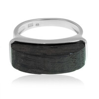 Zilveren ring met een Veeneik
