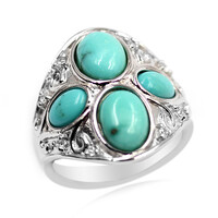 Zilveren ring met Campitos Turkooisen (Anne Bever)