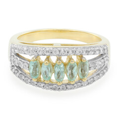 Gouden ring met Braziliaanse Paraiba toermalijnen