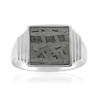 Zilveren ring met een Aletai meteoriet