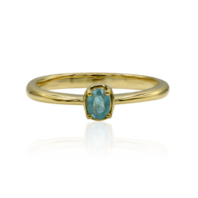 Gouden ring met een Grandidiriet (AMAYANI)