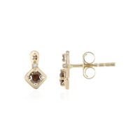 Gouden oorbellen met I2 Bruine Diamanten