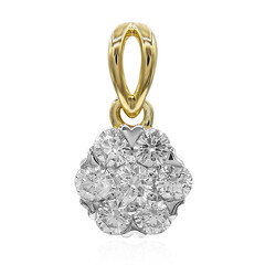 Gouden hanger met een IF Diamant (D)