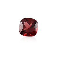 Edelsteen met een Mozambique granaat 1,14 ct