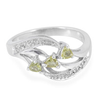 Zilveren ring met xia-apetieten