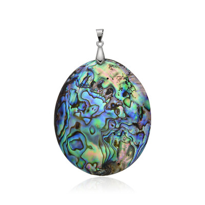 Zilveren hanger met een Abalone schelp