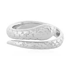 Zilveren ring