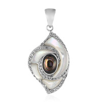 Zilveren hanger met een Abalone schelp (Art of Nature)