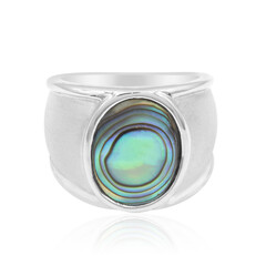 Zilveren ring met een Abalone schelp