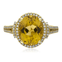 Gouden ring met een keizerlijk beril (AMAYANI)