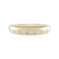 Gouden ring met IF (G) Diamanten (de Melo)