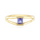 Zilveren ring met een tanzaniet (Adela Silber)