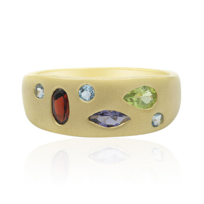 Zilveren ring met een Mozambique granaat (MONOSONO COLLECTION)