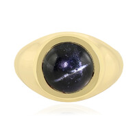 Zilveren ring met een Indische Ster Diopsied