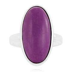 Zilveren ring met een phosphosideriet