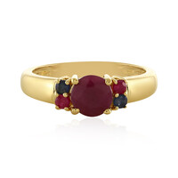 Zilveren ring met een robijn