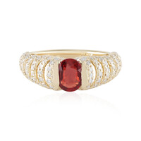 Gouden ring met een Tanzania robijn (de Melo)