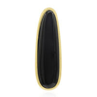 Zilveren hanger met een zwarte onyx