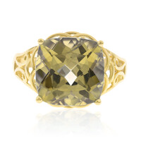 Gouden ring met een Congo Neon Toermalijn (AMAYANI)