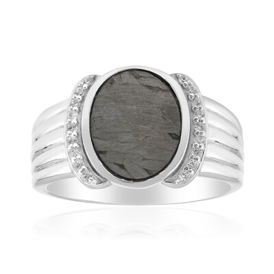 Zilveren ring met een Aletai meteoriet