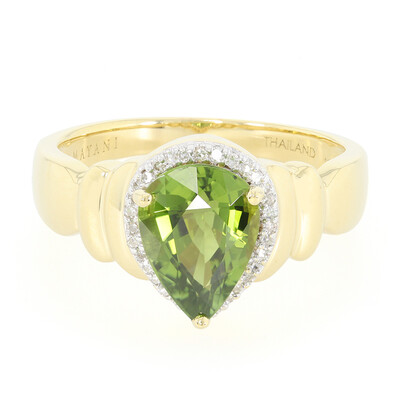 Gouden ring met een Paraiba toermalijn (AMAYANI)