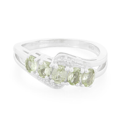 Zilveren ring met Merelani munt granaten