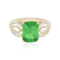 Gouden ring met een Tanzania Tsavoriet (AMAYANI)