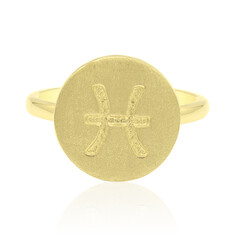 Zilveren ring