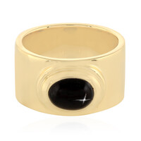 Zilveren ring met een Indische Ster Diopsied