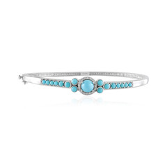 Zilveren armband met een Sleeping Beauty Turkoois (Faszination Türkis)