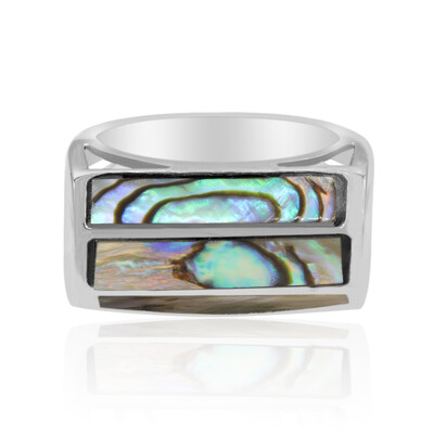 Zilveren ring met Abalone schelpen