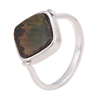 Zilveren ring met een ammoliet