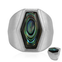 Zilveren ring met een Abalone schelp
