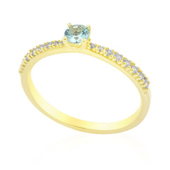 Gouden ring met een Nigeriaanse Paraiba Toermalijn