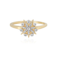 Zilveren ring met een I2 (I) Diamant