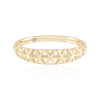 Gouden ring (Ornaments by de Melo)