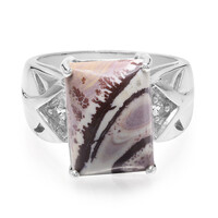 Zilveren ring met een Sonora Dendrieten Jaspis