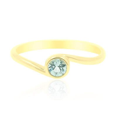 Gouden ring met een Nigeriaanse Paraiba Toermalijn