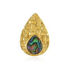 Zilveren hanger met een Abalone schelp